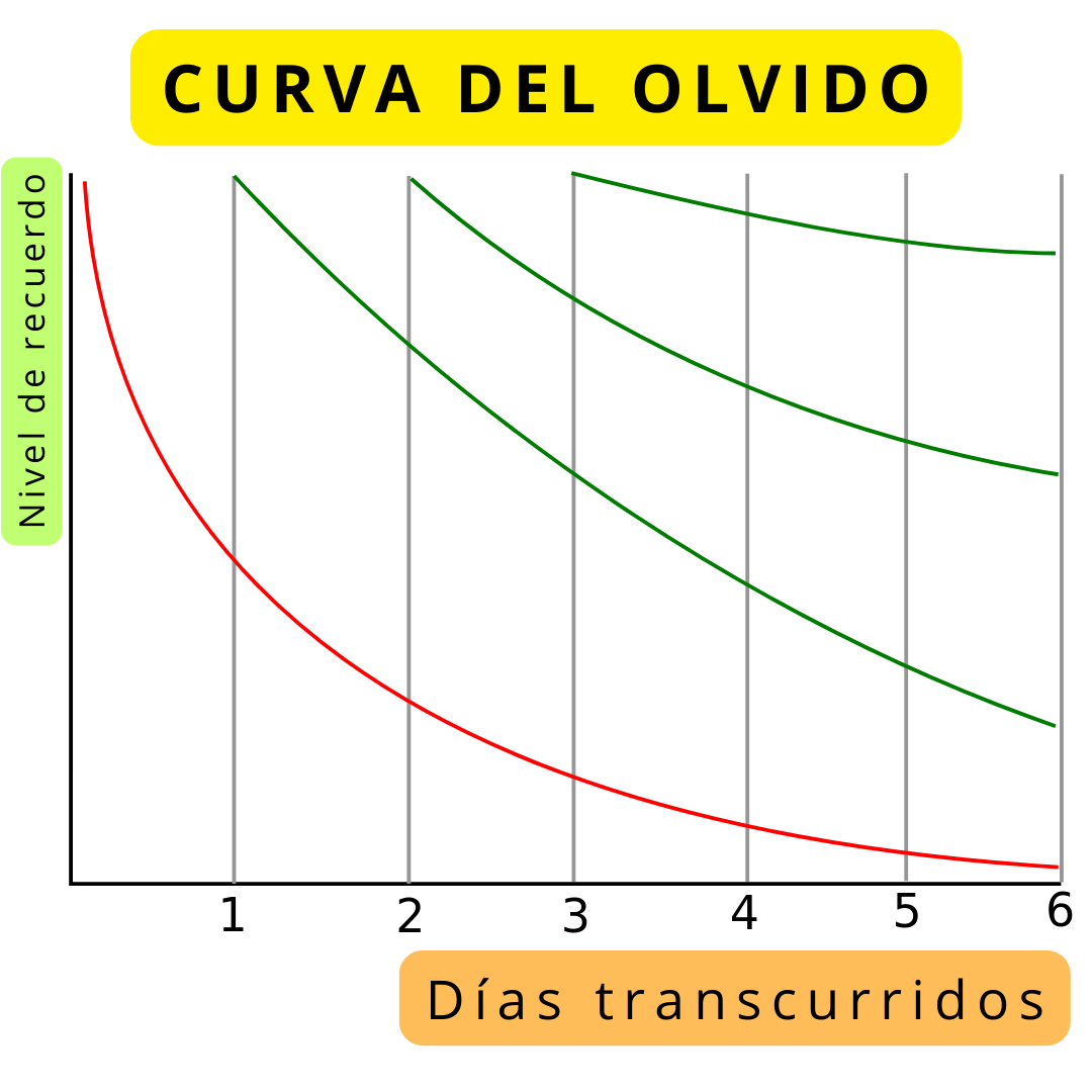 La curva del olvido